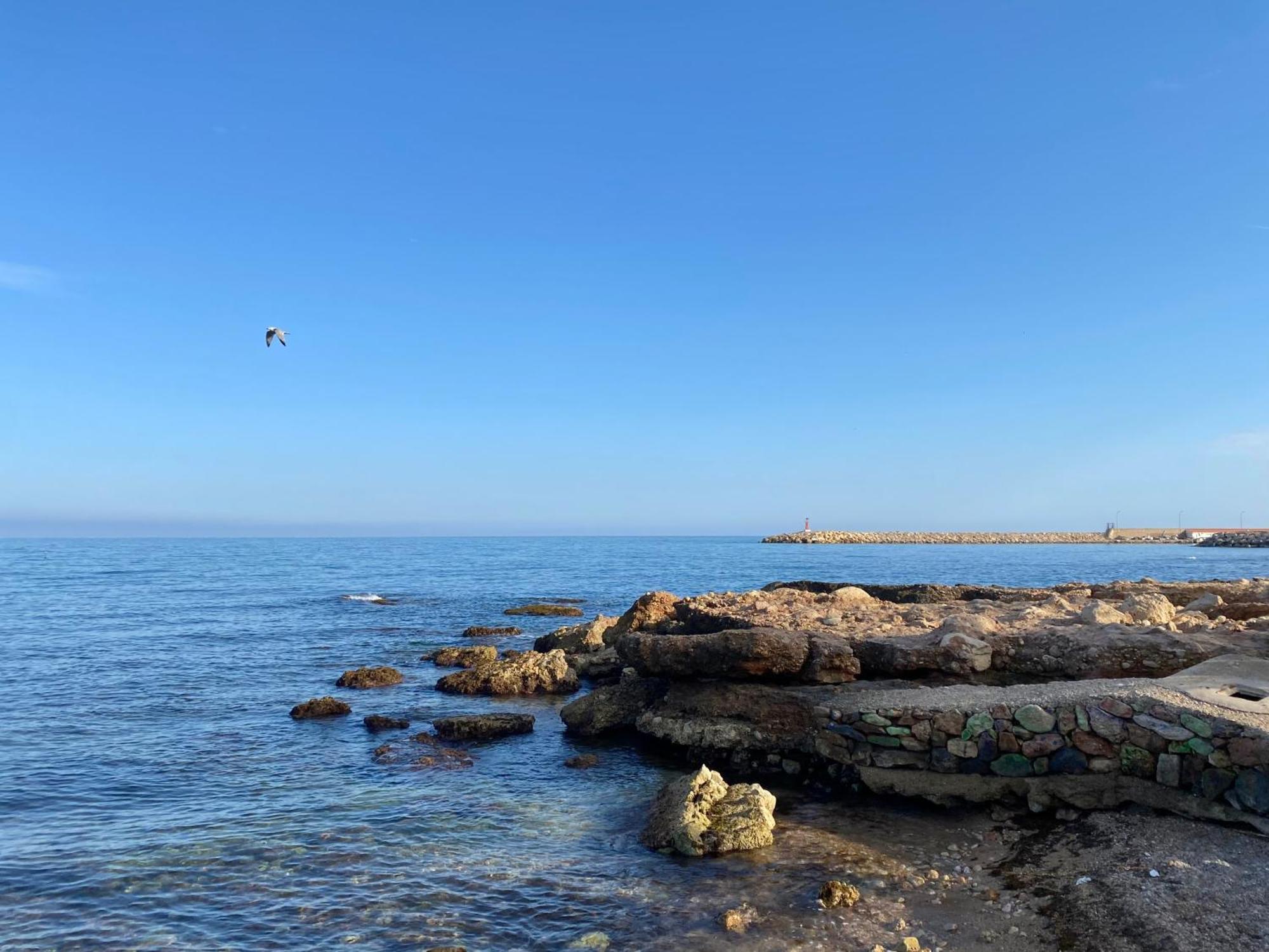 Can Blau لي كاز دالكانار المظهر الخارجي الصورة
